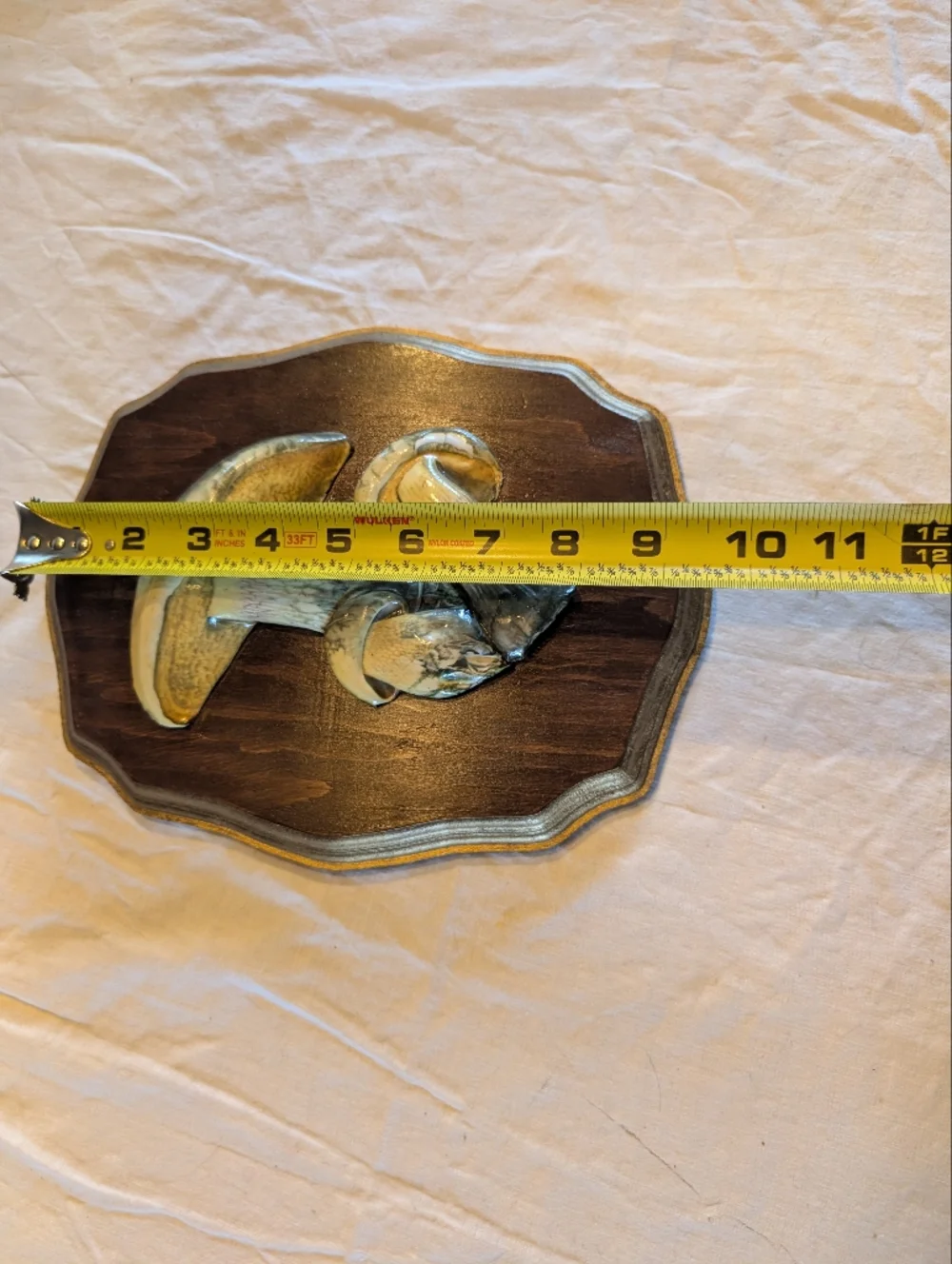 2/40$ Vintage Brown and Beige Mushroom Wall Plaque - Vintage - Picture 4 of 5